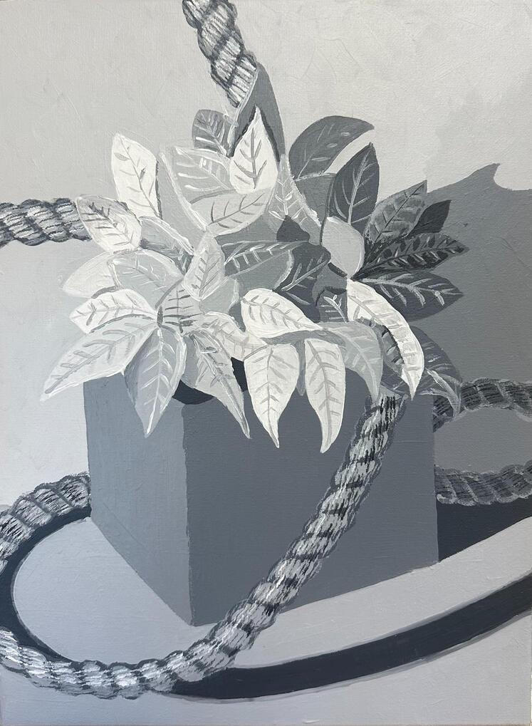 Poinsettia